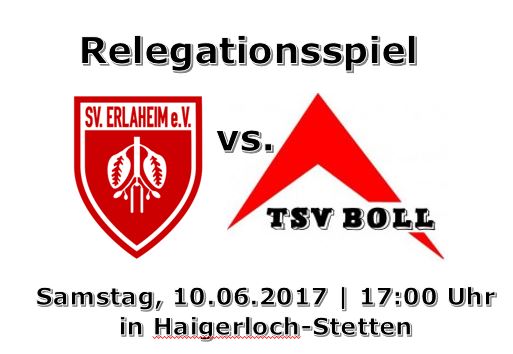 AUSRICHTER RELEGATIONSSPIEL